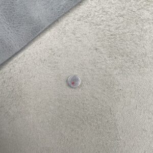 6mm Nickel Magnet