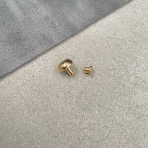 9mm Gilt Rivet